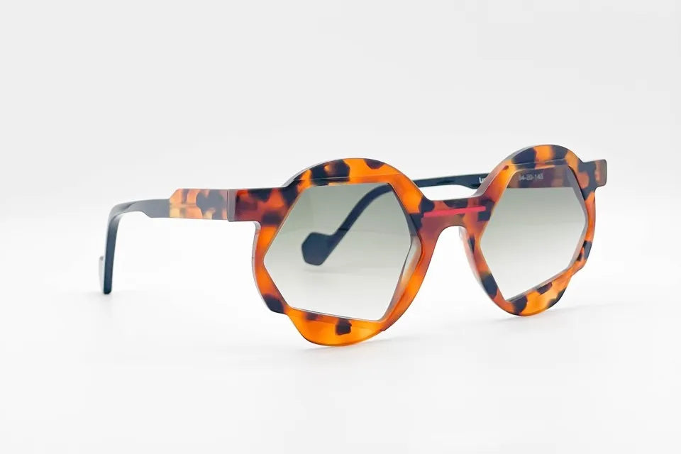 Dzmitry Samal Luc Tortoise