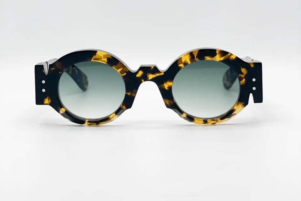 Jean Philippe Joly Freelikeabutterfly Tortoise