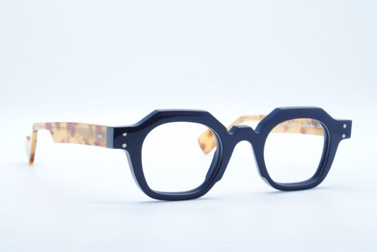 Jean Philippe Joly Directeur Blue Tortoise