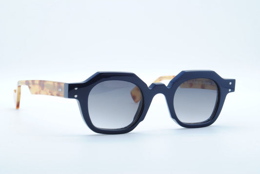 Jean Philippe Joly Directeur Blue Tortoise