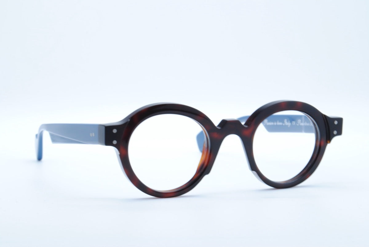 Jean Philippe Joly Producteur Tortoise Blue