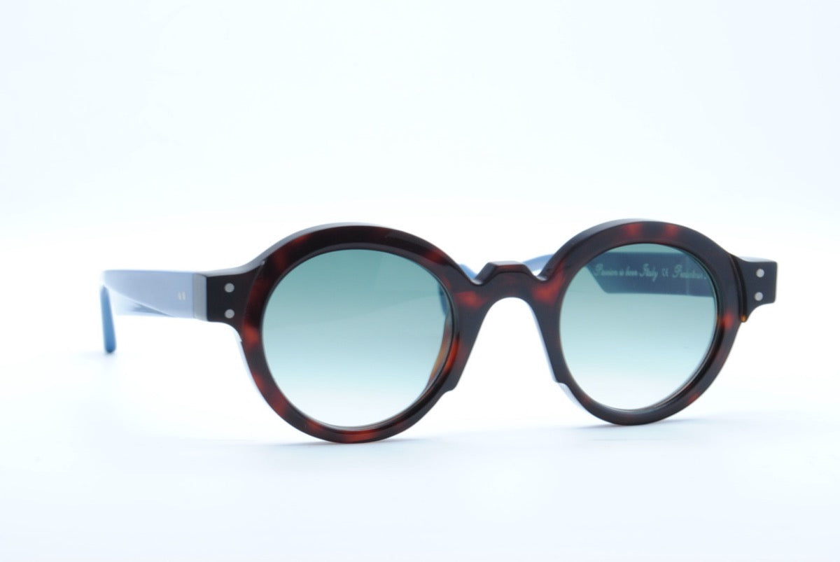 Jean Philippe Joly Producteur Tortoise Blue