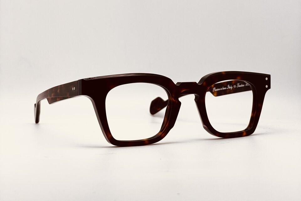 Jean Philippe Joly Senateur Tortoise