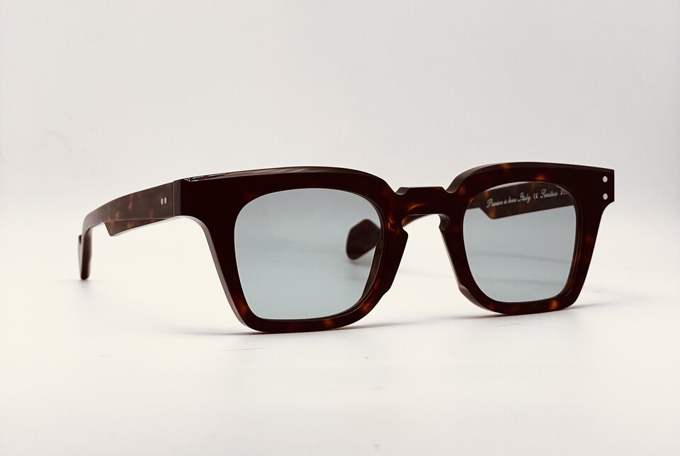 Jean Philippe Joly Senateur Tortoise