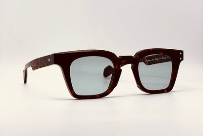 Jean Philippe Joly Senateur Tortoise