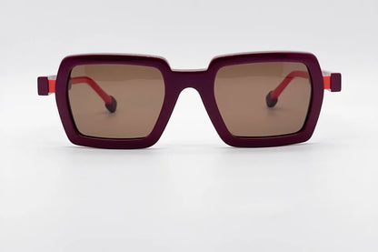 Theo Pulley Redorange Sunglasses - Gears